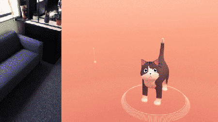 每个器官都能摸到？VR撸猫是种什么体验 (4).jpg